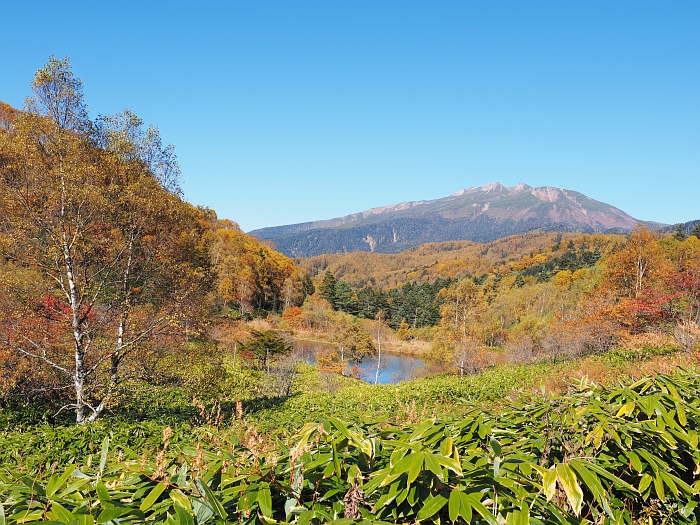 紅葉ツーリング 15 第1弾 乗鞍高原 野麦峠 開田高原 ー 後編 いわしののんびり遊泳 ｖｏｌ ２