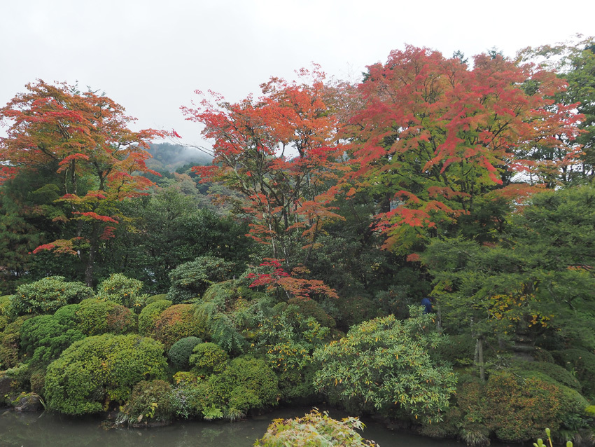 世界遺産「日光の社寺」の紅葉情報2015_a0320705_14542440.jpg