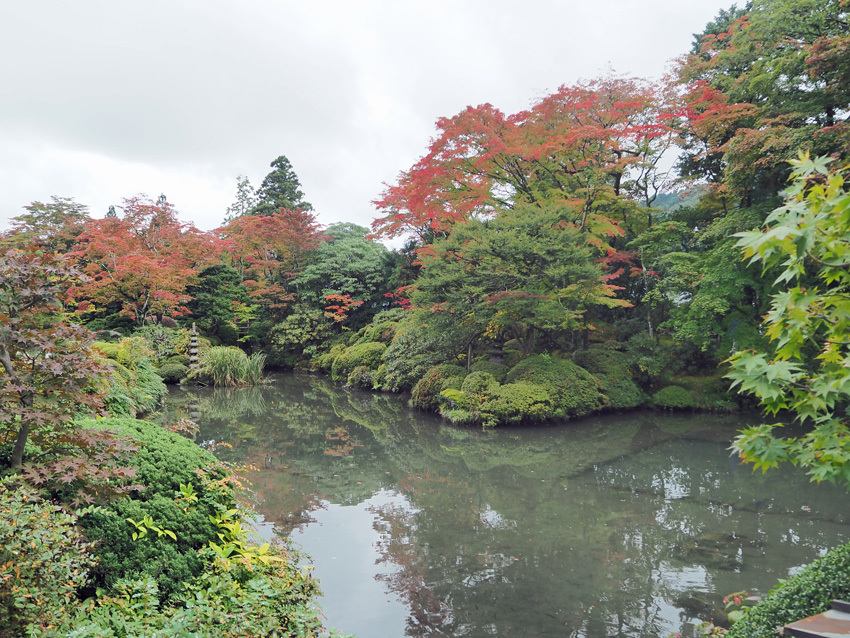 世界遺産「日光の社寺」の紅葉情報2015_a0320705_14555201.jpg