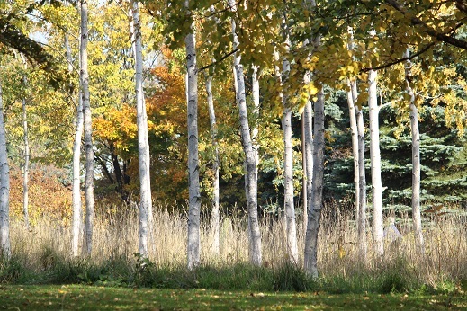 f0325309_10291152.jpg