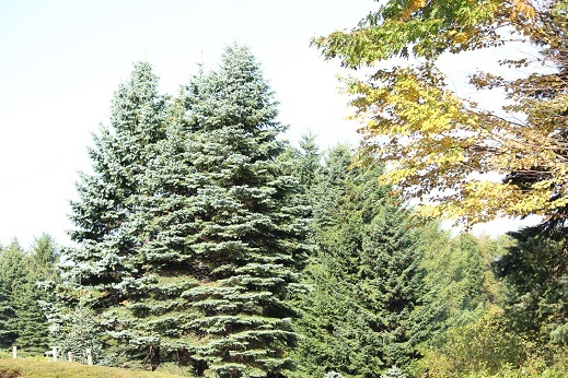 f0325309_10293900.jpg