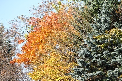 f0325309_10302293.jpg