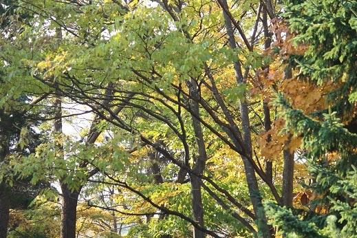 f0325309_10324155.jpg
