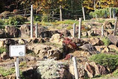 f0325309_10511514.jpg