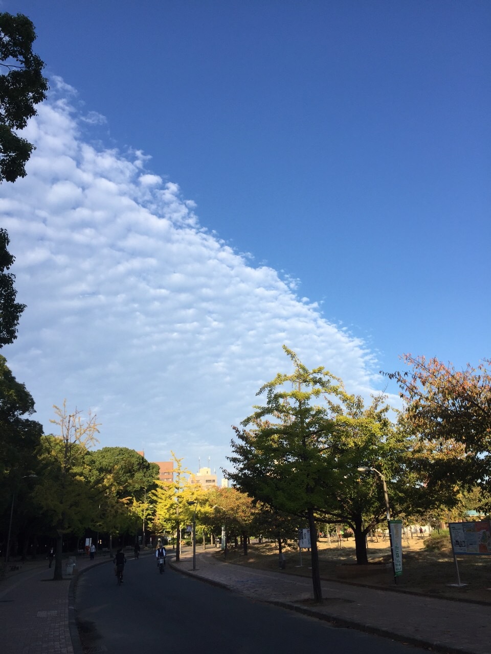 a0289610_17522610.jpeg