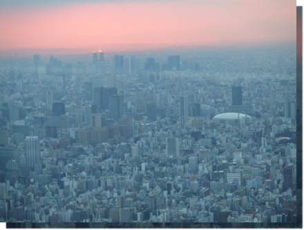 a0114514_18443332.png