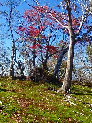 f0193521_1034830.jpg