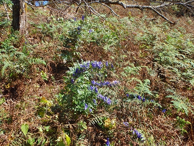 f0193521_10475918.jpg