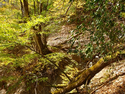 f0193521_10544215.jpg