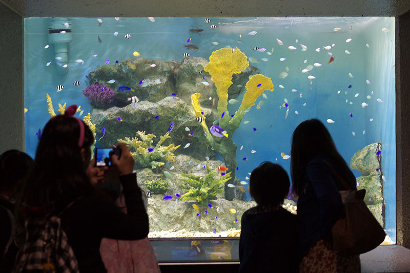 小樽水族館へ　５_e0001123_22524180.jpg