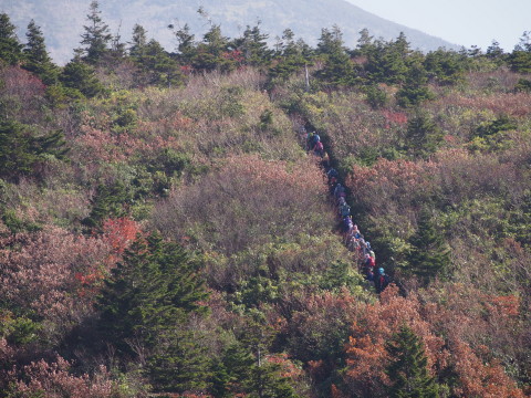 紅葉の毛無パラダイスラインと地獄沼@八甲田(青森市)*2015.10.17_b0147224_22395896.jpg