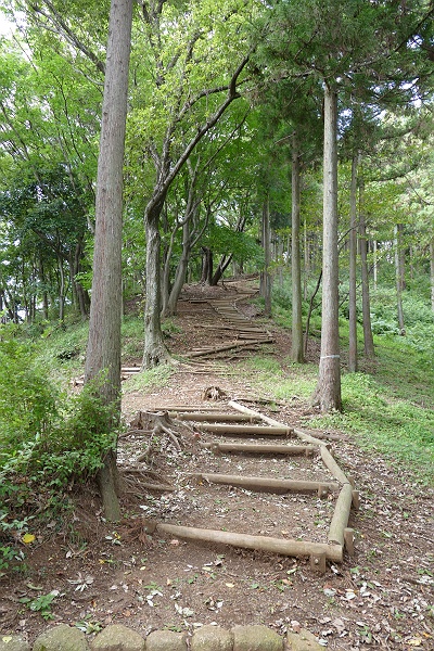 日向薬師から飯山観音に向かう　その７_c0196928_745392.jpg