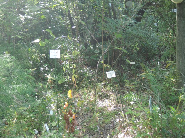 f0171028_22475835.jpg