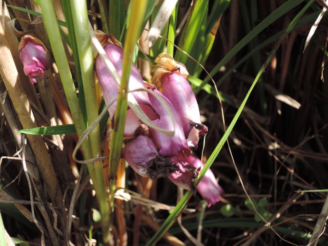 f0171028_22485253.jpg