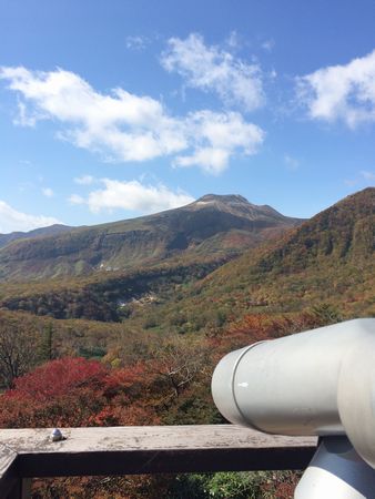 登山は、無理なのか？_f0234528_10323527.jpg