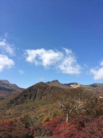 登山は、無理なのか？_f0234528_10325687.jpg