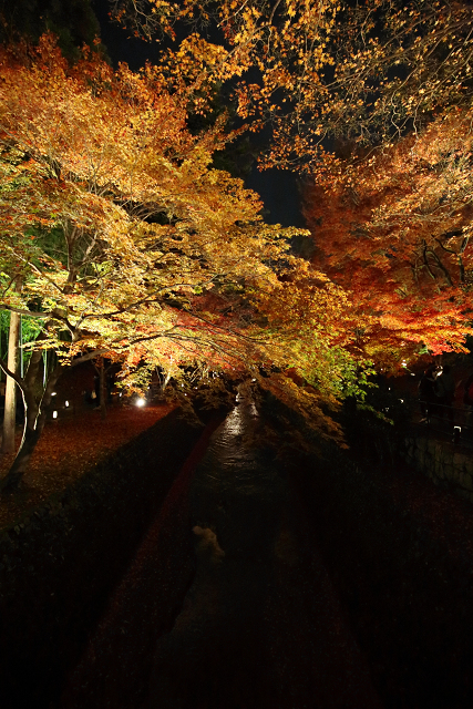 そうだ 京都、行こう －2015年紅葉 北野天満宮（後編）－_b0169330_10384546.jpg