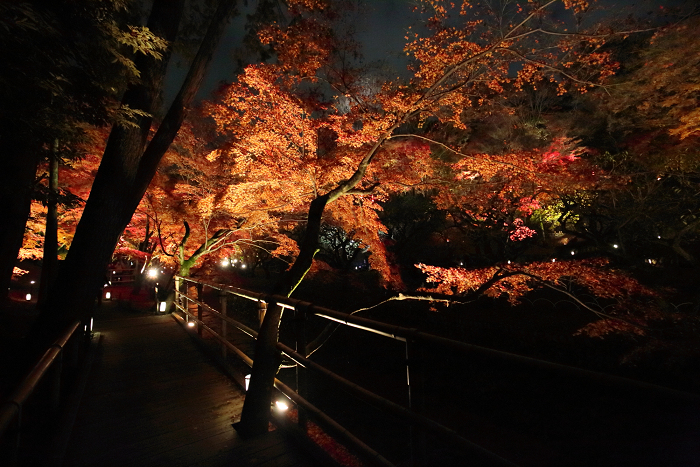 そうだ 京都、行こう －2015年紅葉 北野天満宮（後編）－_b0169330_10394411.jpg