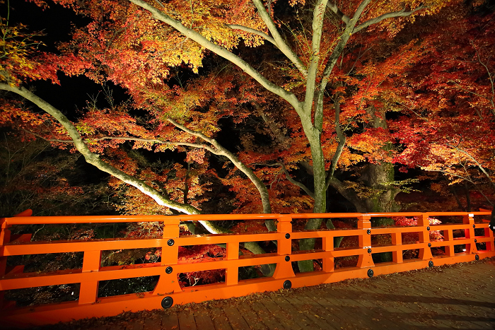 そうだ 京都、行こう －2015年紅葉 北野天満宮（後編）－_b0169330_132869.jpg