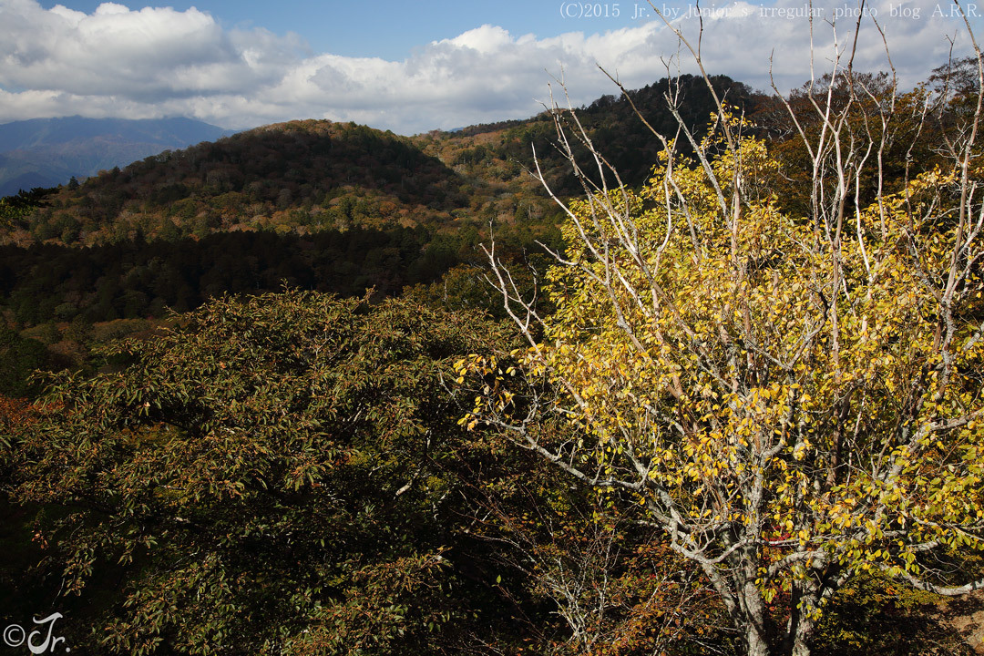 晴れ。　－ 序盤の大台ヶ原 －_a0313234_17044947.jpg