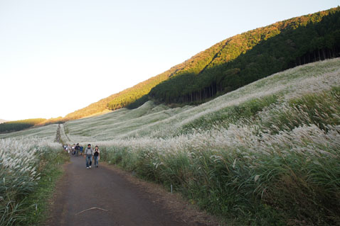 a0021735_1838227.jpg
