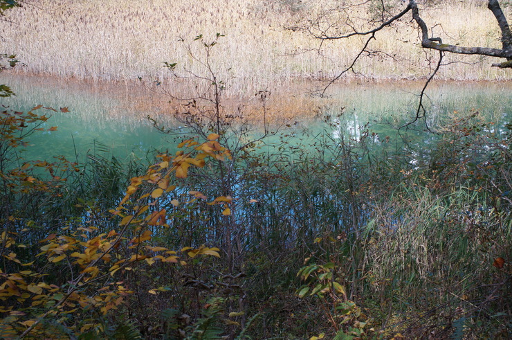 b0233441_1924788.jpg