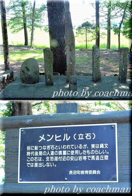 「幌内神社」狛犬 (長沼町)_a0315942_22153789.jpg