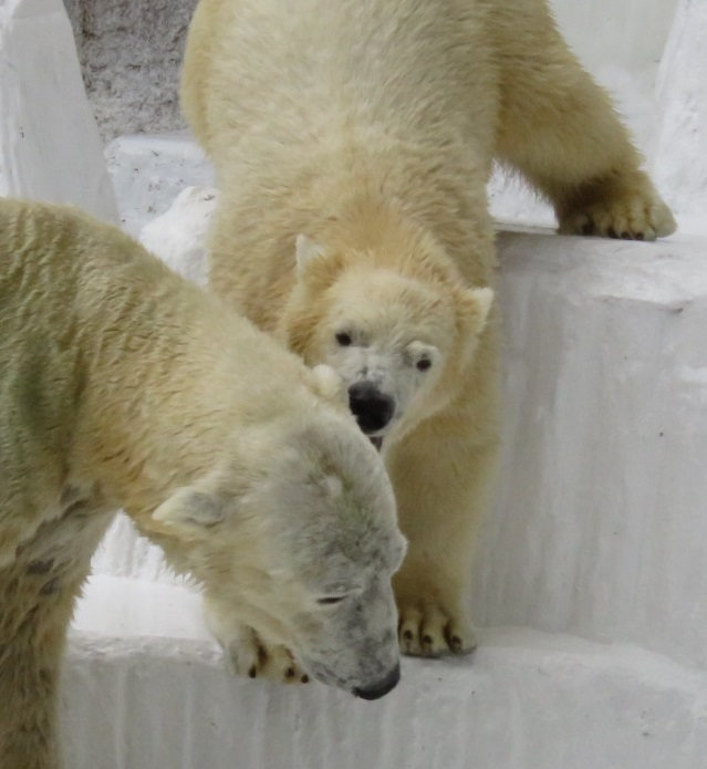 f0002743_13142325.jpg