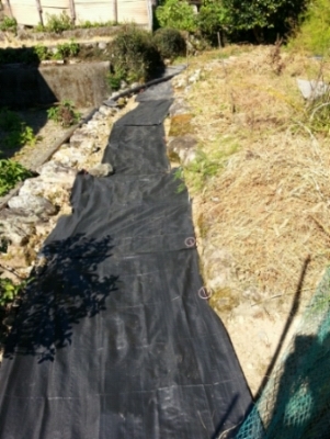 c0330749_13354694.jpg