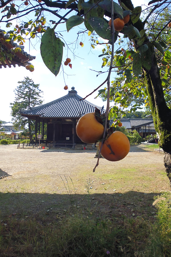 f0190950_15262746.jpg
