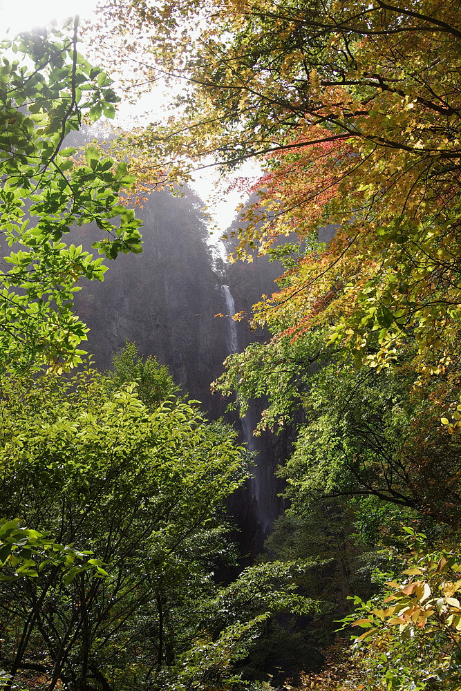 ２０１５．１０．６－８　長野県・戸隠山系　高妻山（３）　米子大瀑布　　　２０１５．１０．１８ （記）_a0181059_10164597.jpg