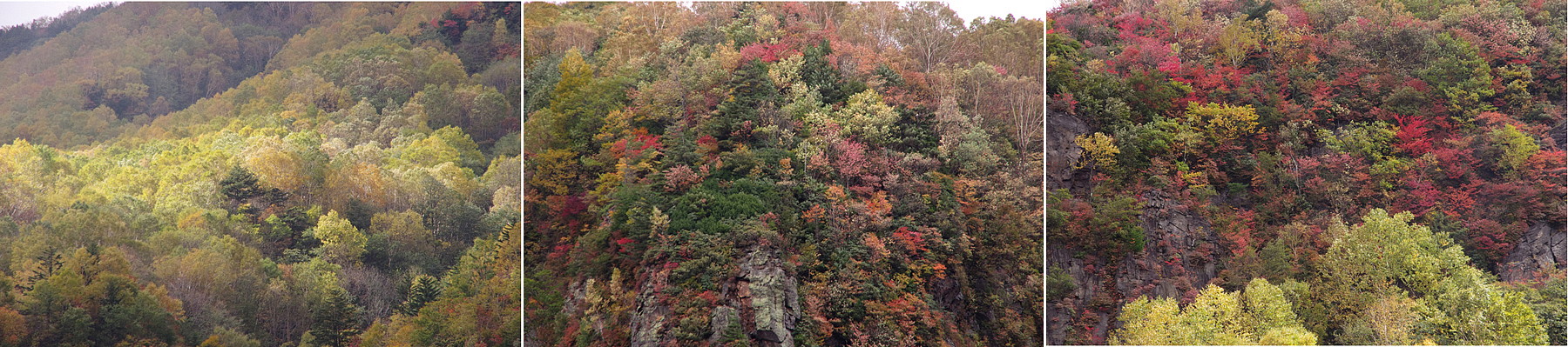 ２０１５．１０．６－８　長野県・戸隠山系　高妻山（３）　米子大瀑布　　　２０１５．１０．１８ （記）_a0181059_10175678.jpg