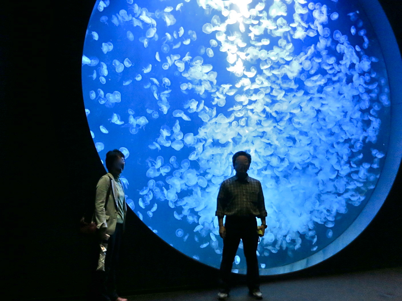行楽の秋「鶴岡〜あつみ温泉」編_c0260460_10391059.jpg