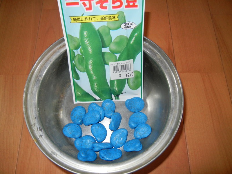 ’15,10,17(土)雨後の庭仕事!_f0060461_14441646.jpg