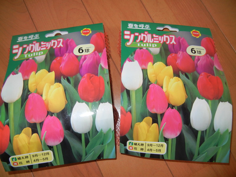 ’15,10,17(土)雨後の庭仕事!_f0060461_15114890.jpg