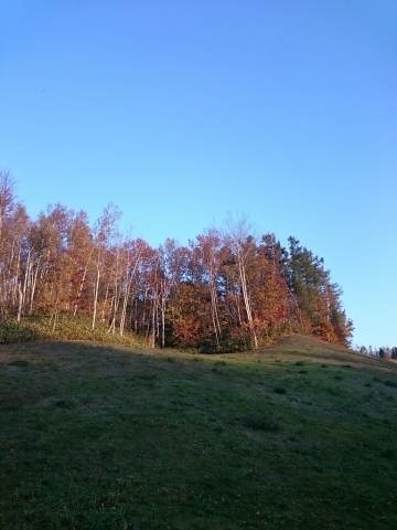 c0311170_18430329.jpg
