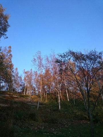 c0311170_18430714.jpg