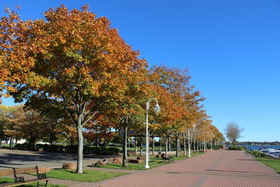 紅葉_c0353373_03091028.jpg