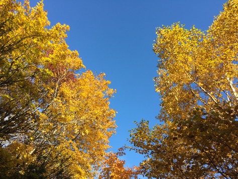 紅葉の安達太良山　その②_b0184877_15244436.jpg