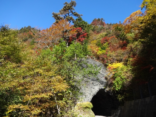 快晴の瓶ヶ森林道_e0201281_20122422.jpg