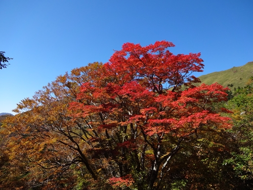 快晴の瓶ヶ森林道_e0201281_2012582.jpg