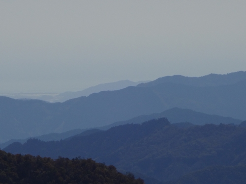快晴の瓶ヶ森林道_e0201281_201687.jpg