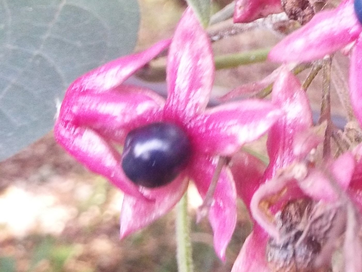 e0145782_181620.jpg
