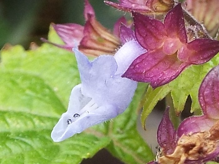 e0145782_18163560.jpg