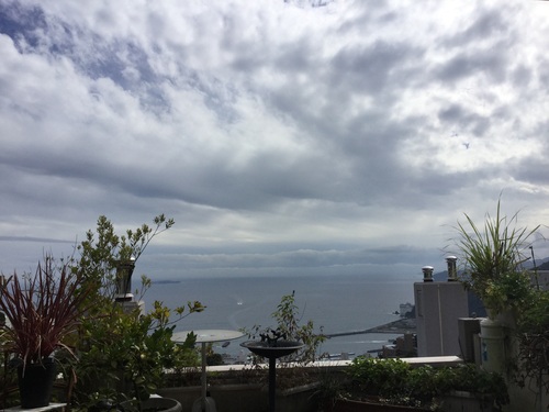 2015年10月17日山鳩色_b0098584_13331483.jpg