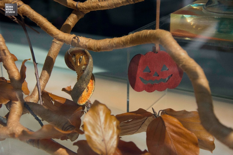 October 18, 2015 パンプキン Pumpkin _a0307186_12565726.jpg