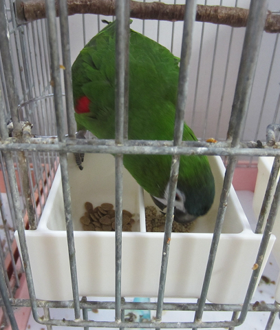 f0234590_114674.png