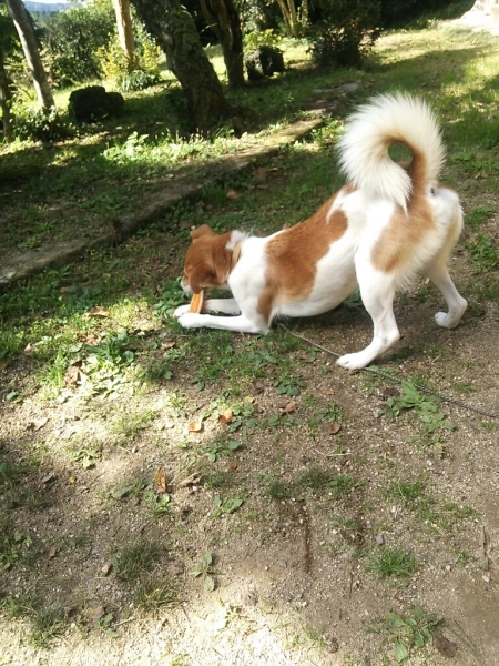 はじめて陶芸体験される方には(*^^*)_a0213491_12201606.jpg