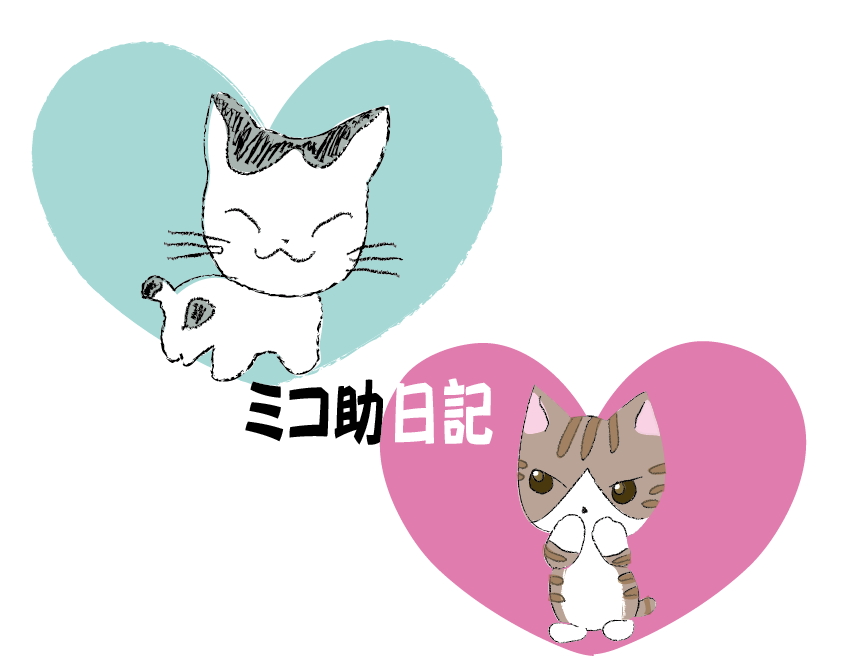 去年の10月18日は・・・。_a0333195_07440719.png