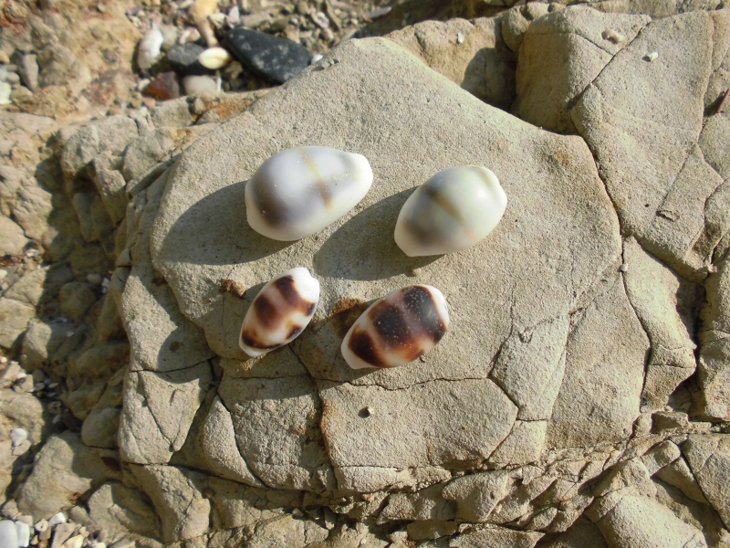 c0204298_12809.jpg